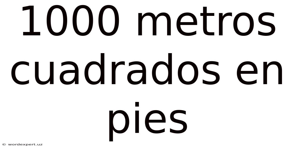 1000 Metros Cuadrados En Pies
