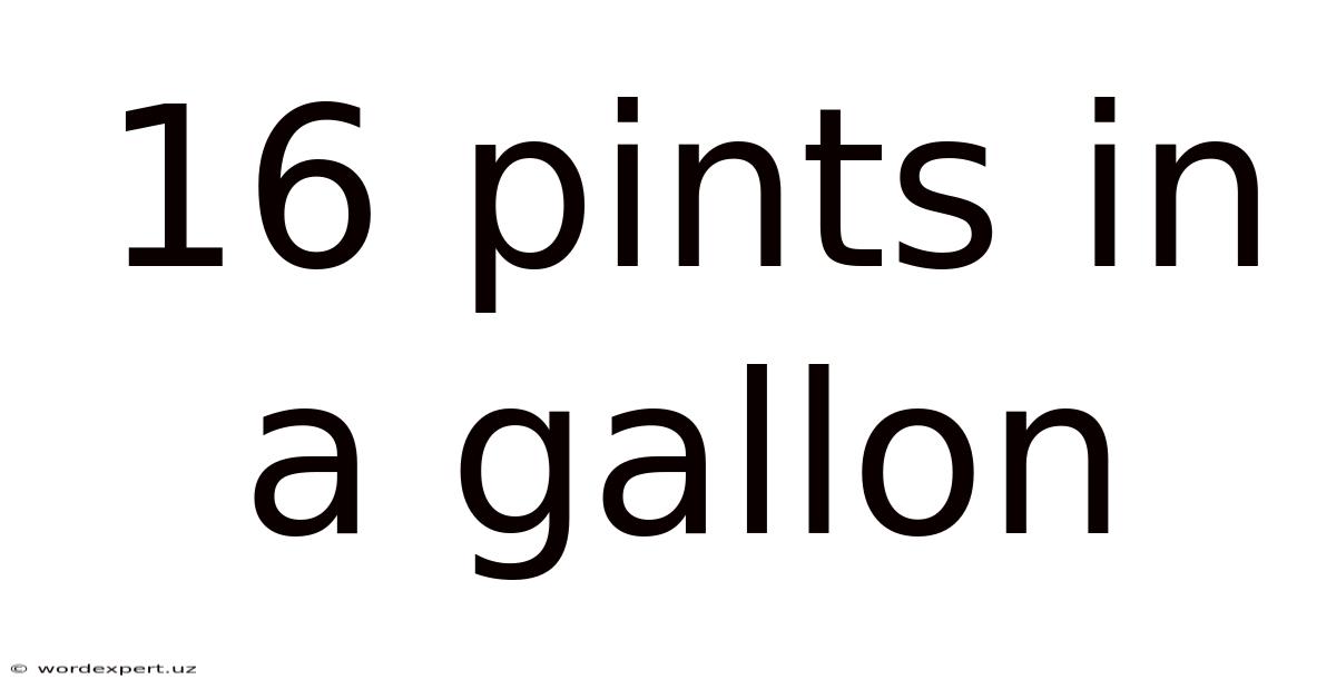 16 Pints In A Gallon