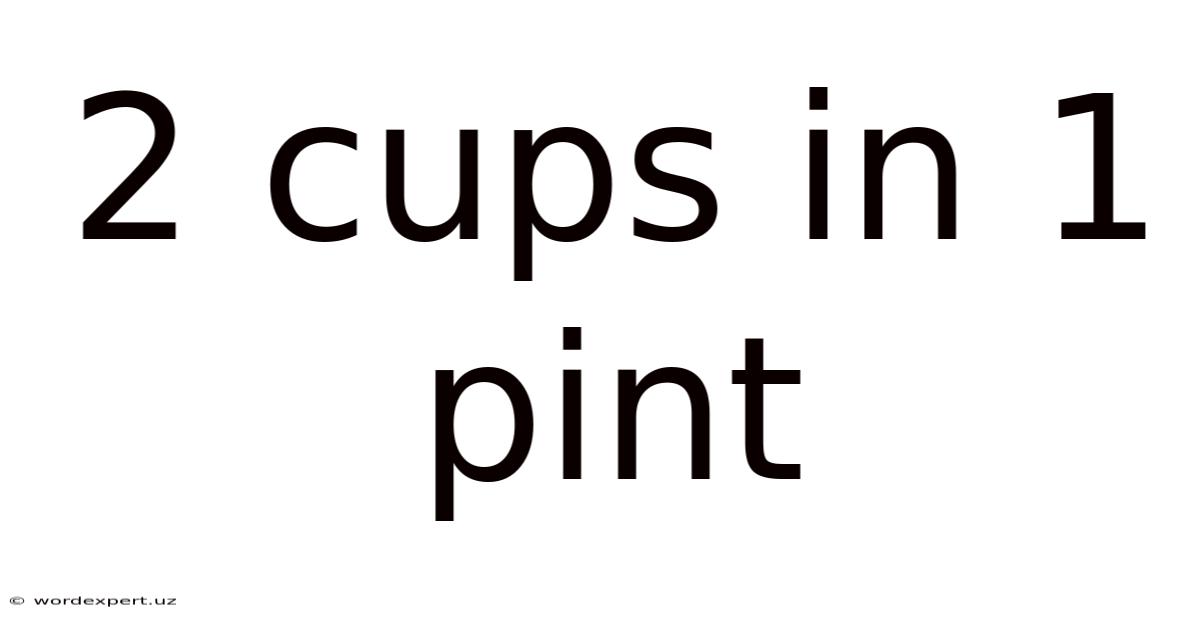 2 Cups In 1 Pint