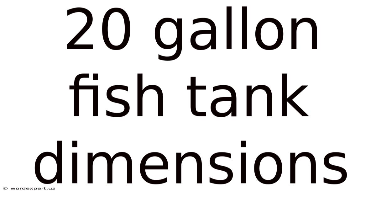 20 Gallon Fish Tank Dimensions