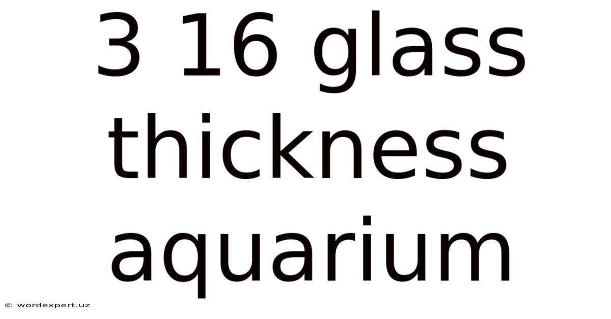 3 16 Glass Thickness Aquarium
