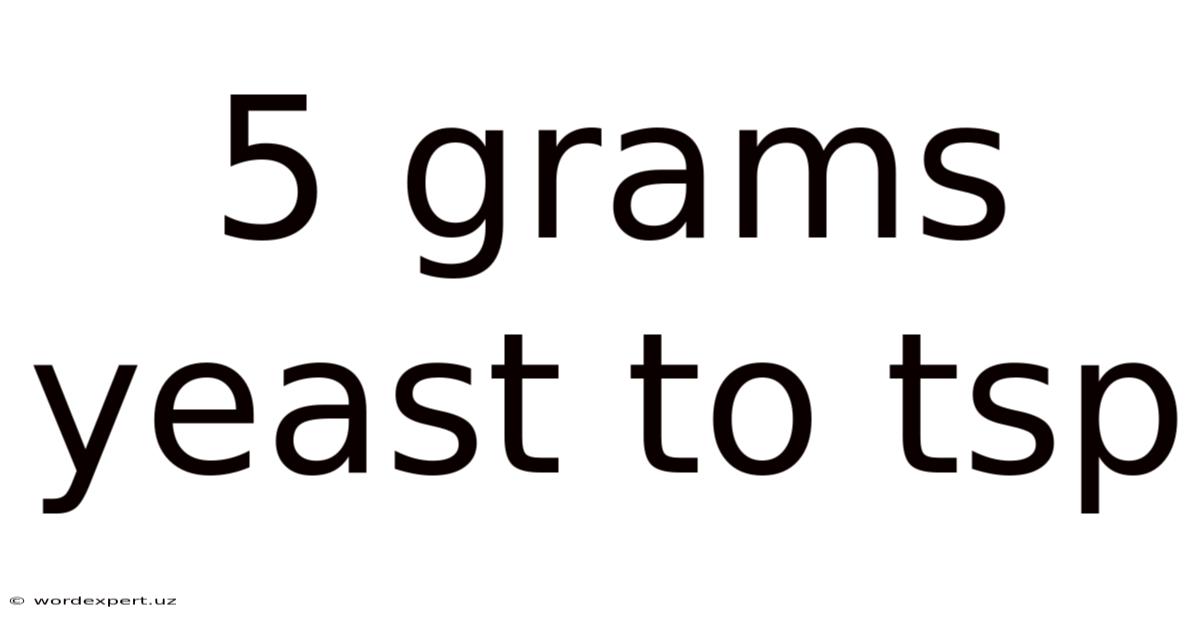 5 Grams Yeast To Tsp