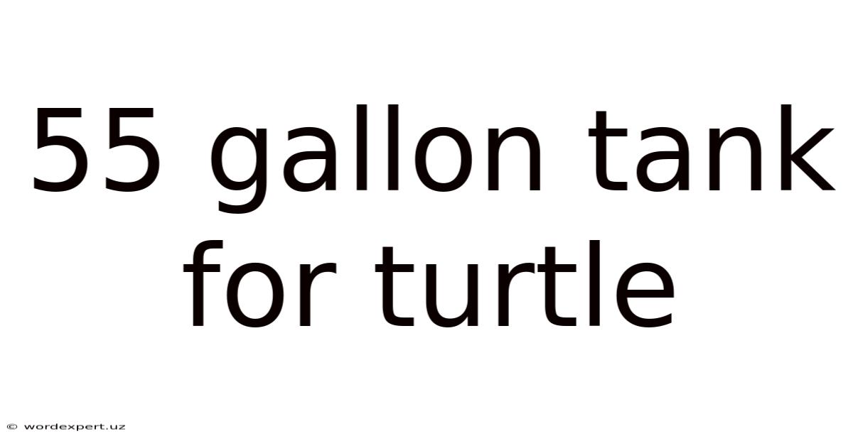 55 Gallon Tank For Turtle