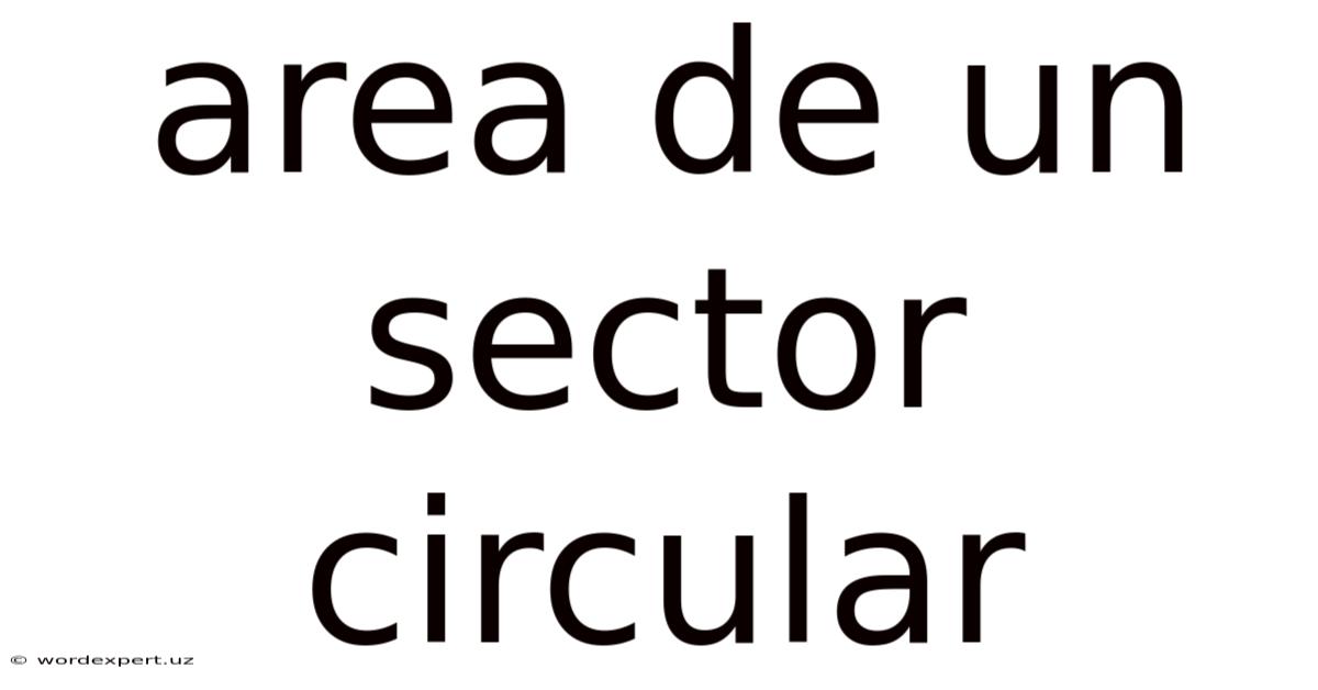 Area De Un Sector Circular