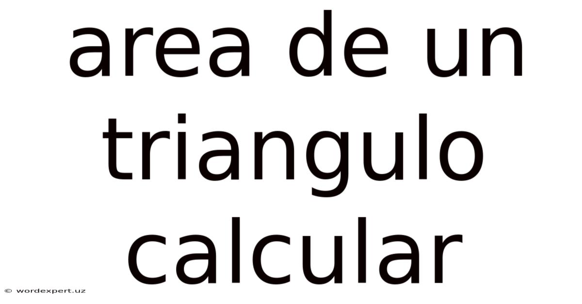Area De Un Triangulo Calcular