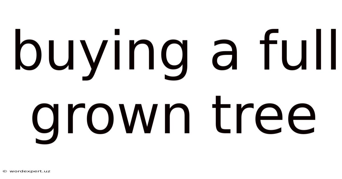 Buying A Full Grown Tree