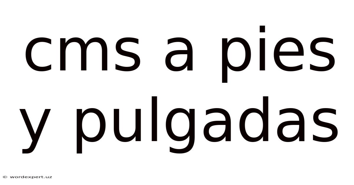 Cms A Pies Y Pulgadas