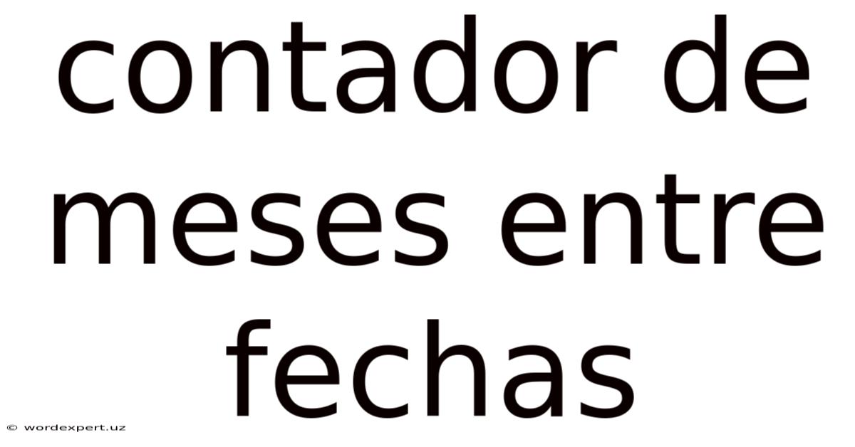 Contador De Meses Entre Fechas