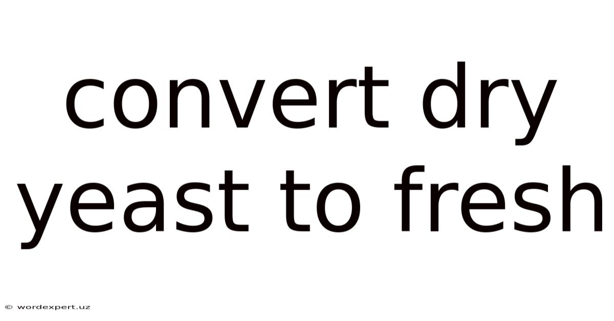 Convert Dry Yeast To Fresh