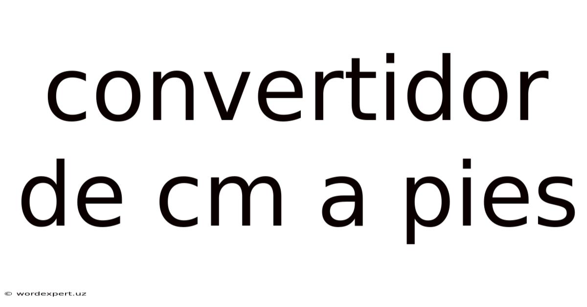 Convertidor De Cm A Pies