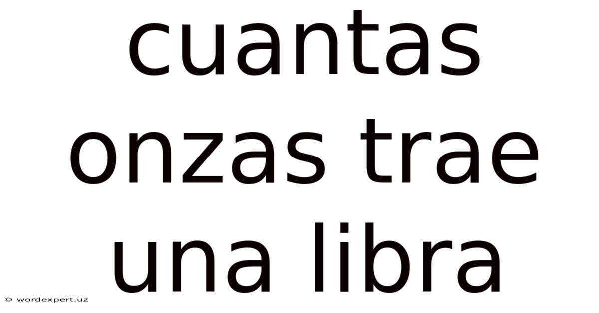 Cuantas Onzas Trae Una Libra