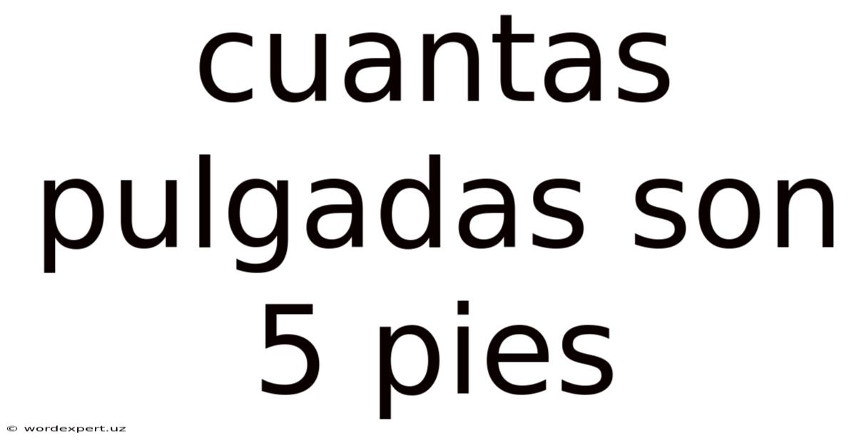 Cuantas Pulgadas Son 5 Pies