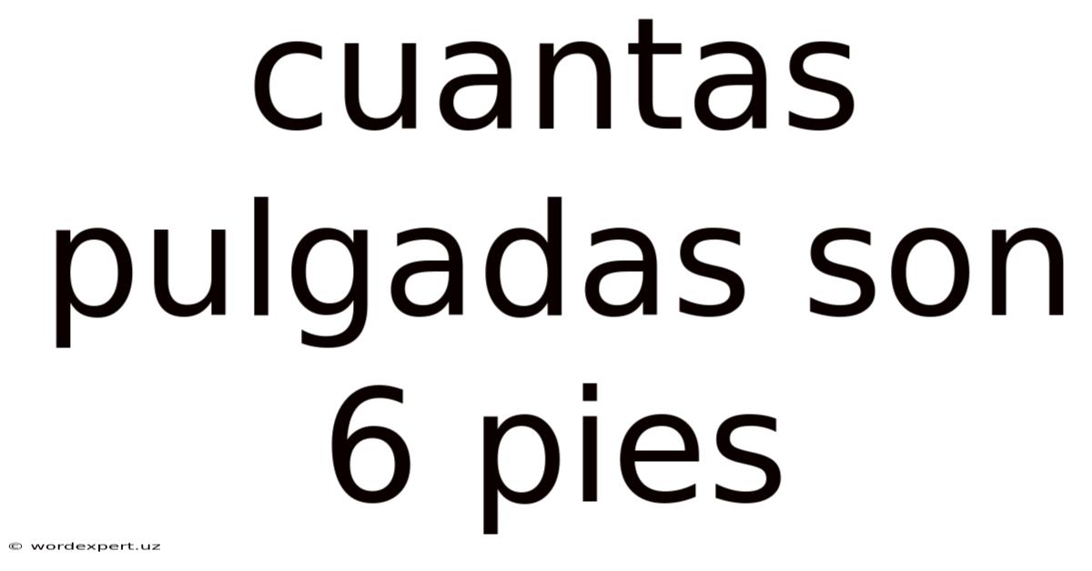 Cuantas Pulgadas Son 6 Pies