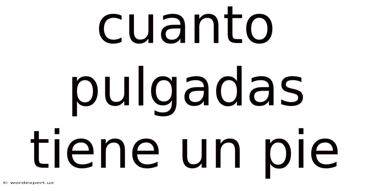 Cuanto Pulgadas Tiene Un Pie