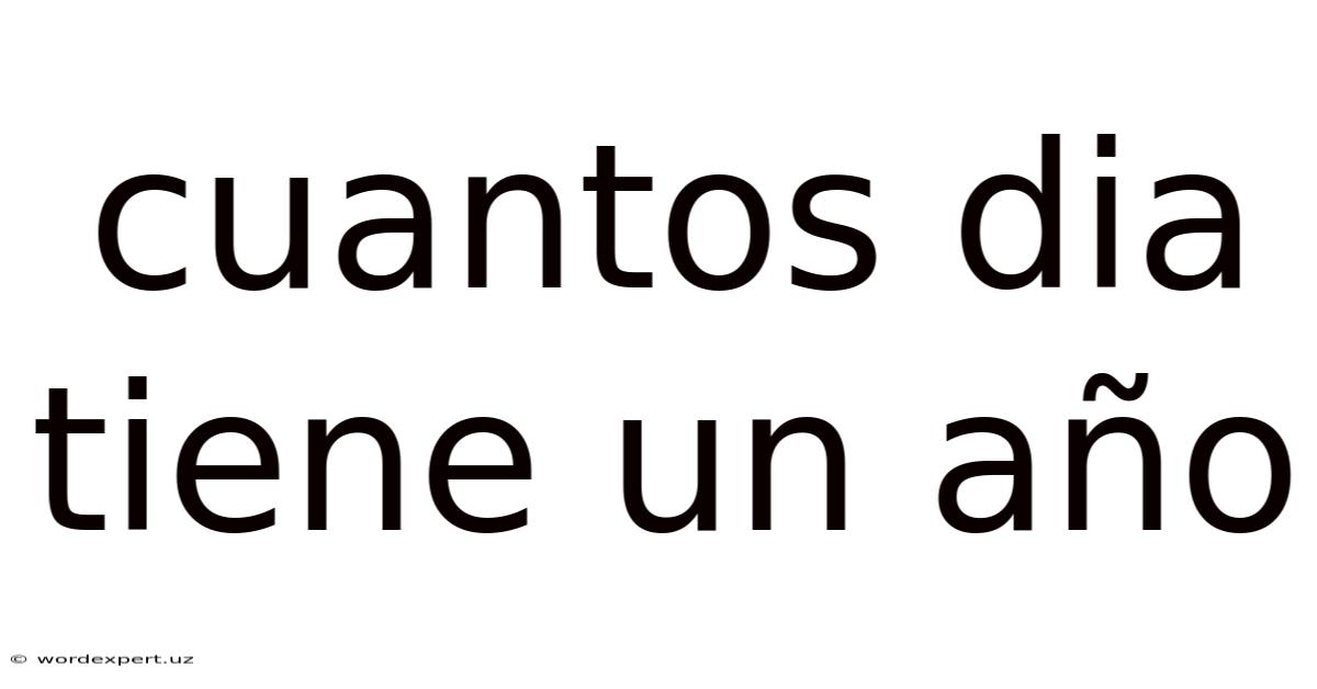 Cuantos Dia Tiene Un Año