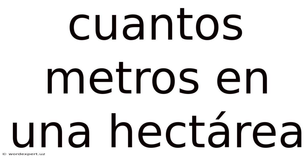 Cuantos Metros En Una Hectárea
