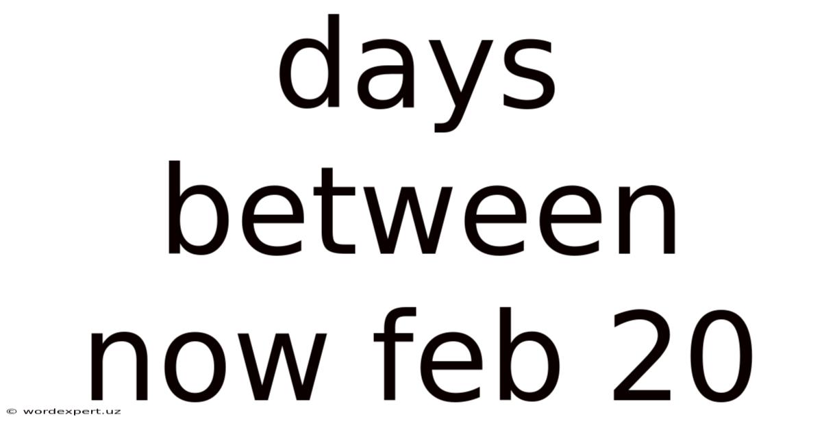 Days Between Now Feb 20