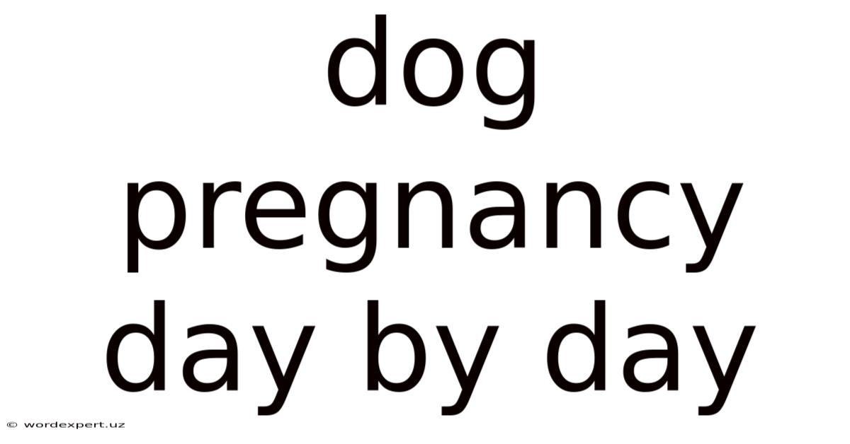 Dog Pregnancy Day By Day