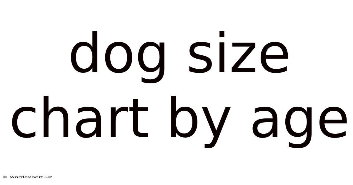 Dog Size Chart By Age