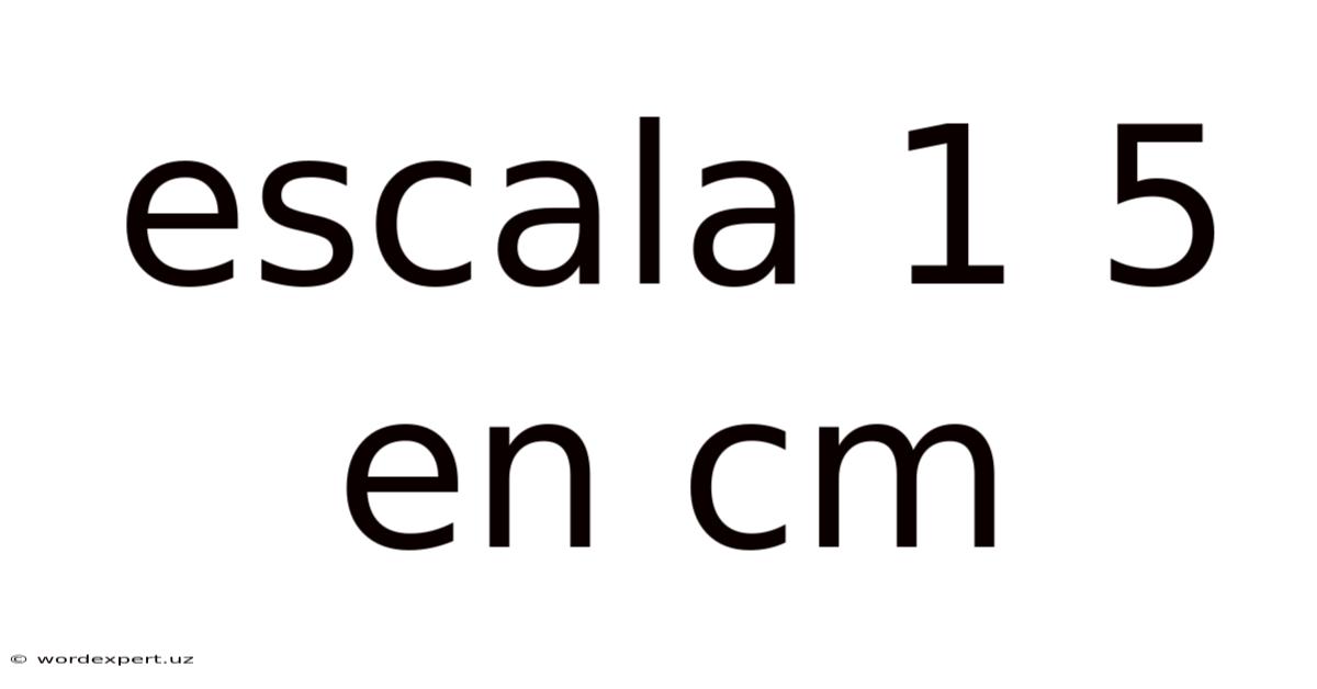 Escala 1 5 En Cm
