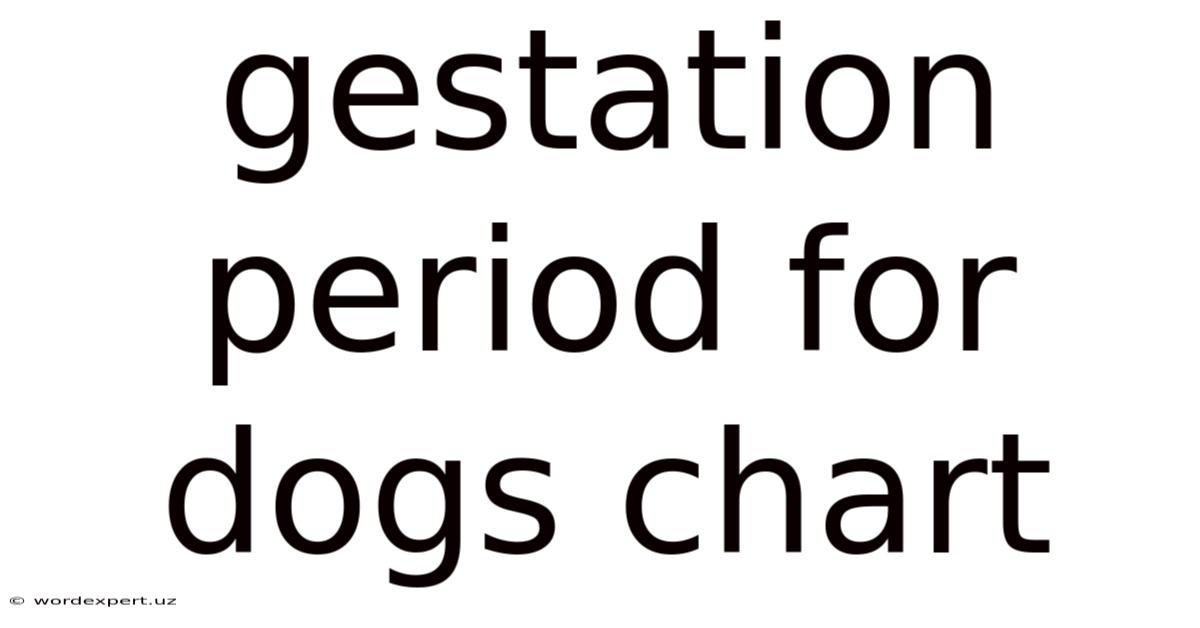 Gestation Period For Dogs Chart