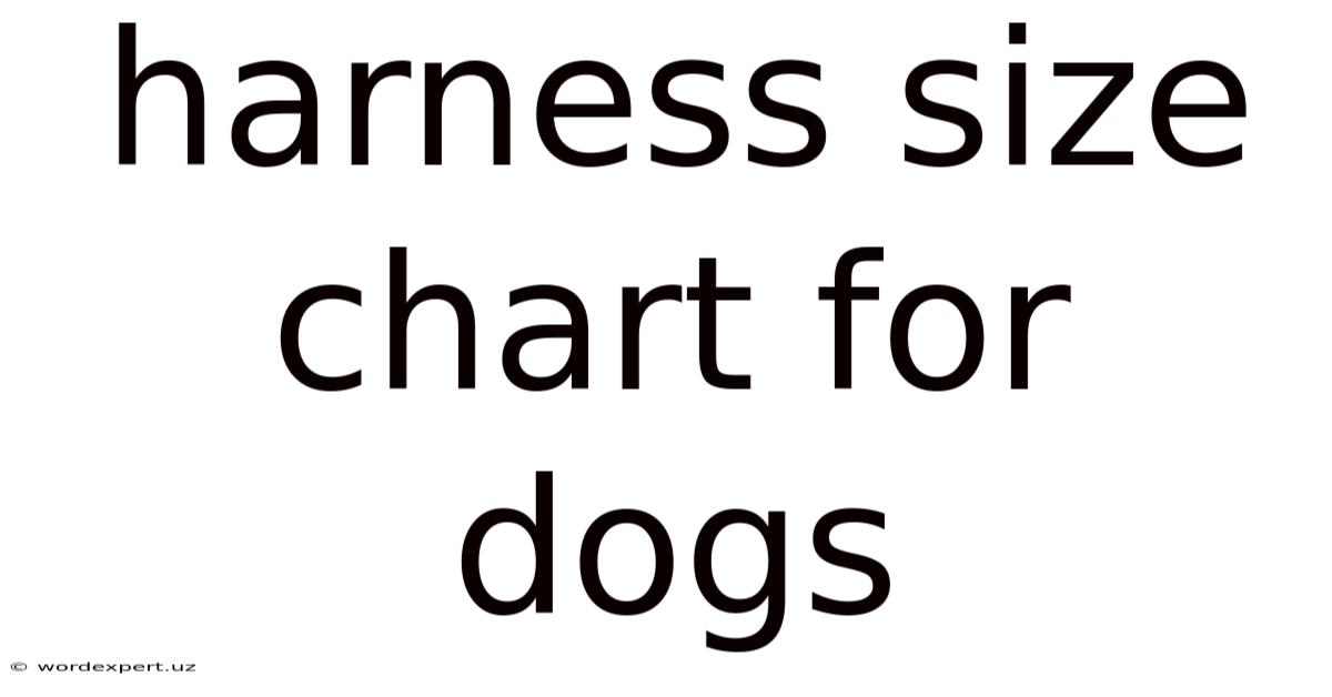 Harness Size Chart For Dogs