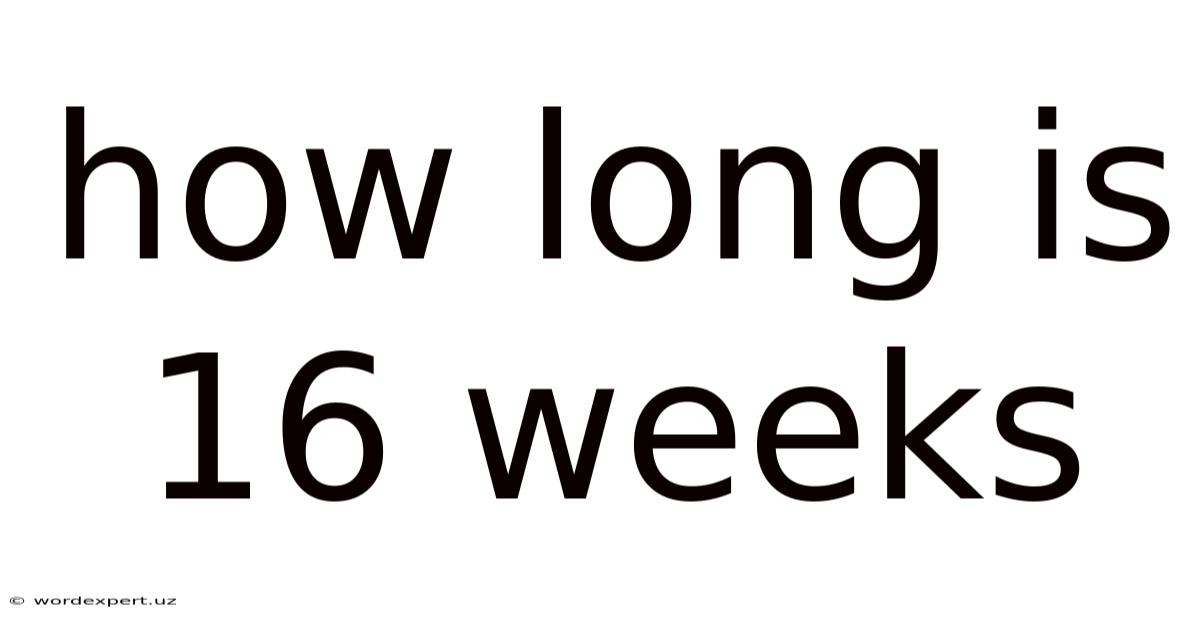 How Long Is 16 Weeks