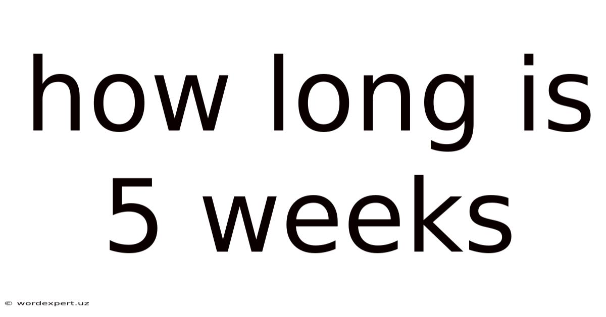 How Long Is 5 Weeks