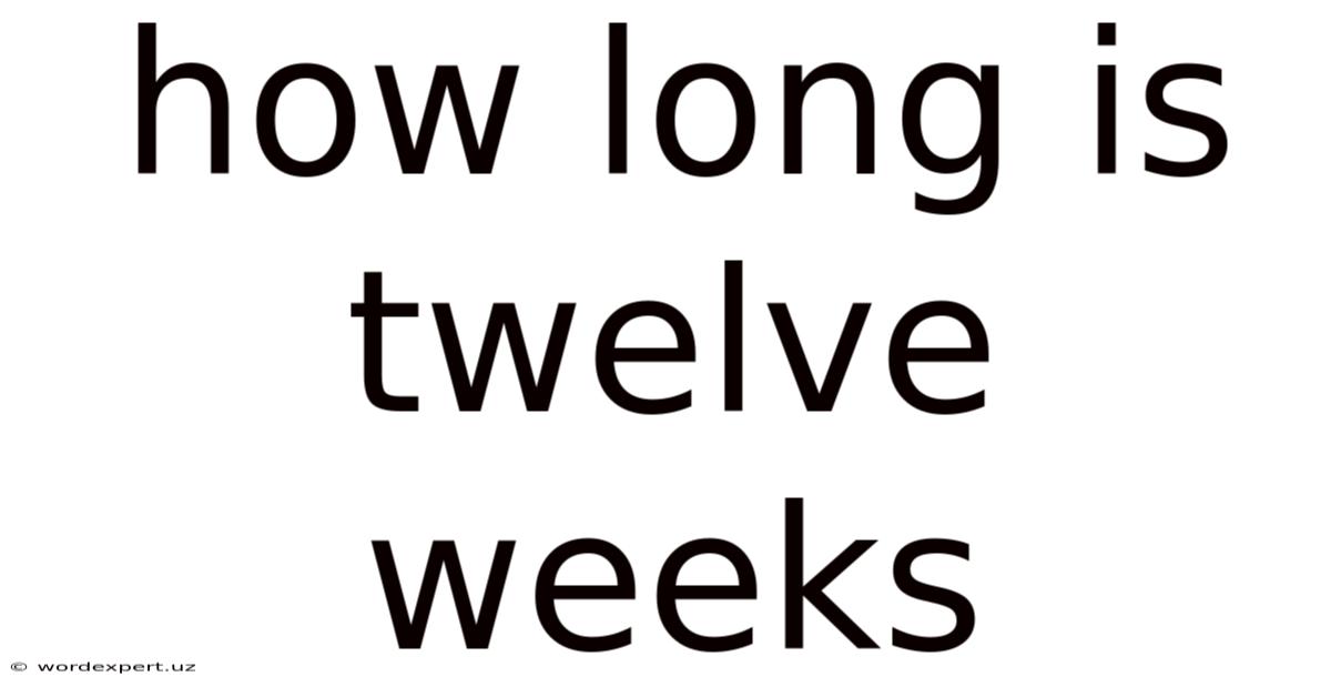 How Long Is Twelve Weeks