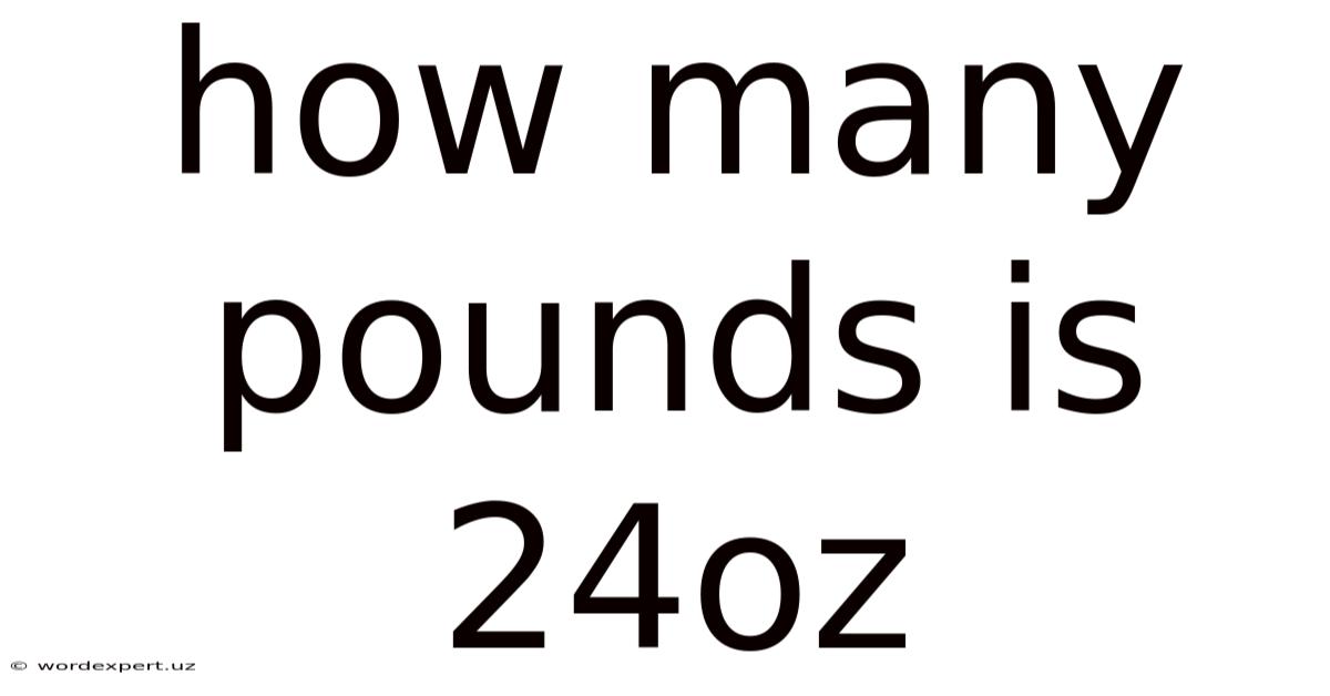 How Many Pounds Is 24oz