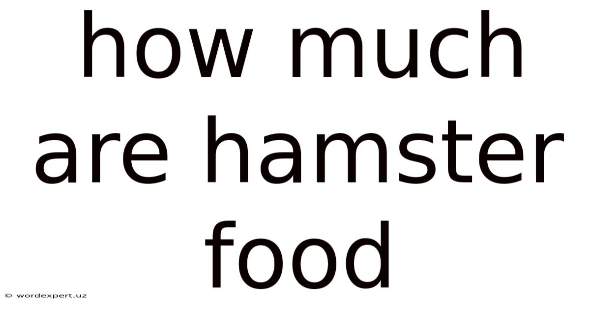 How Much Are Hamster Food