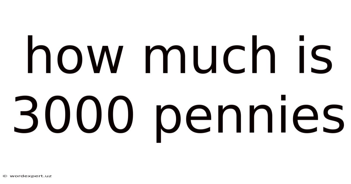 How Much Is 3000 Pennies