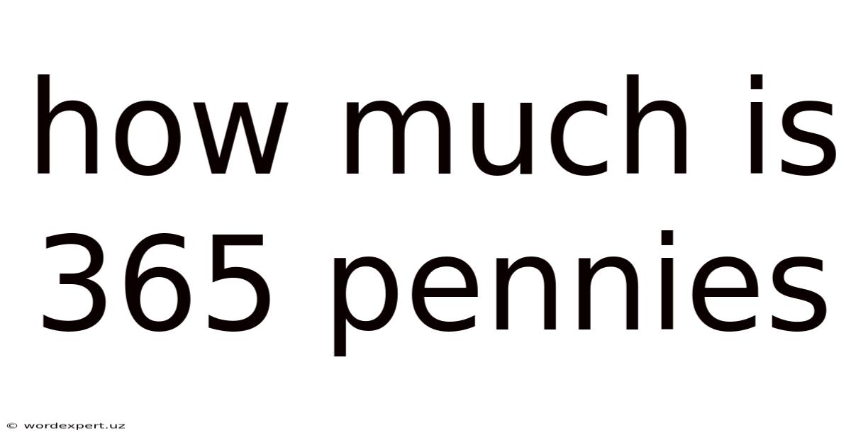 How Much Is 365 Pennies