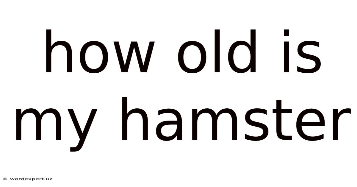 How Old Is My Hamster