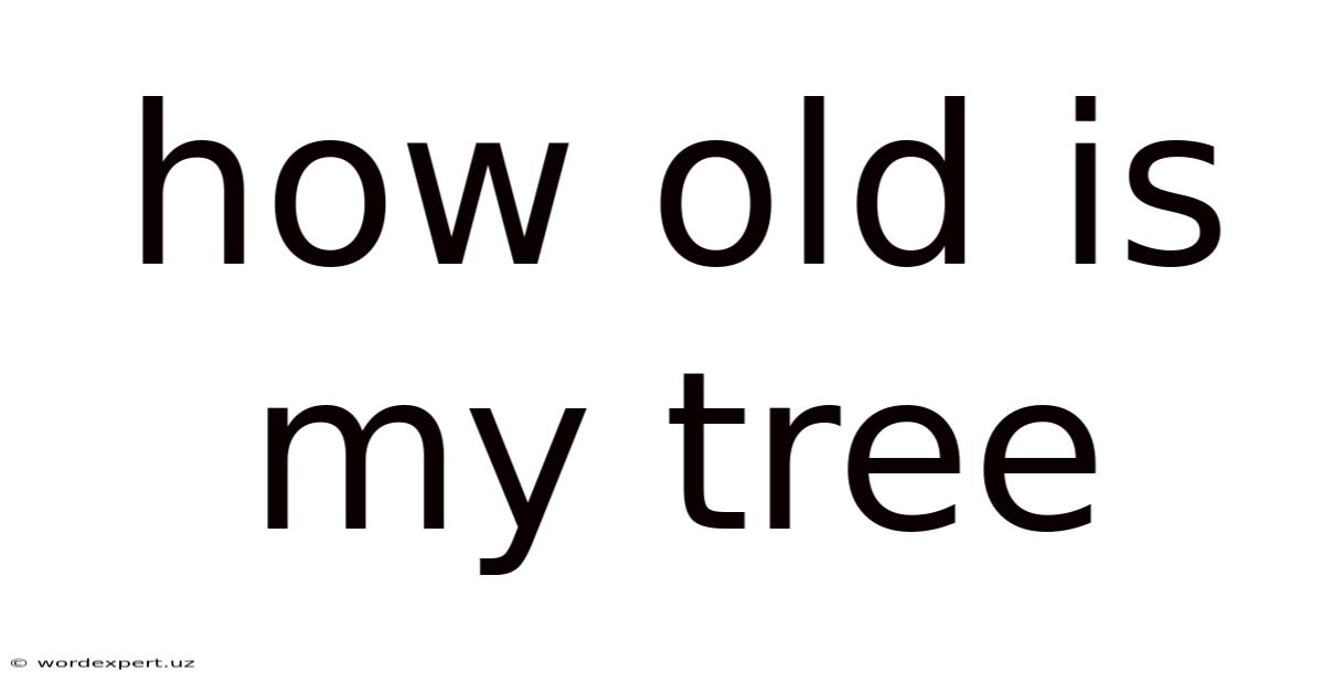 How Old Is My Tree