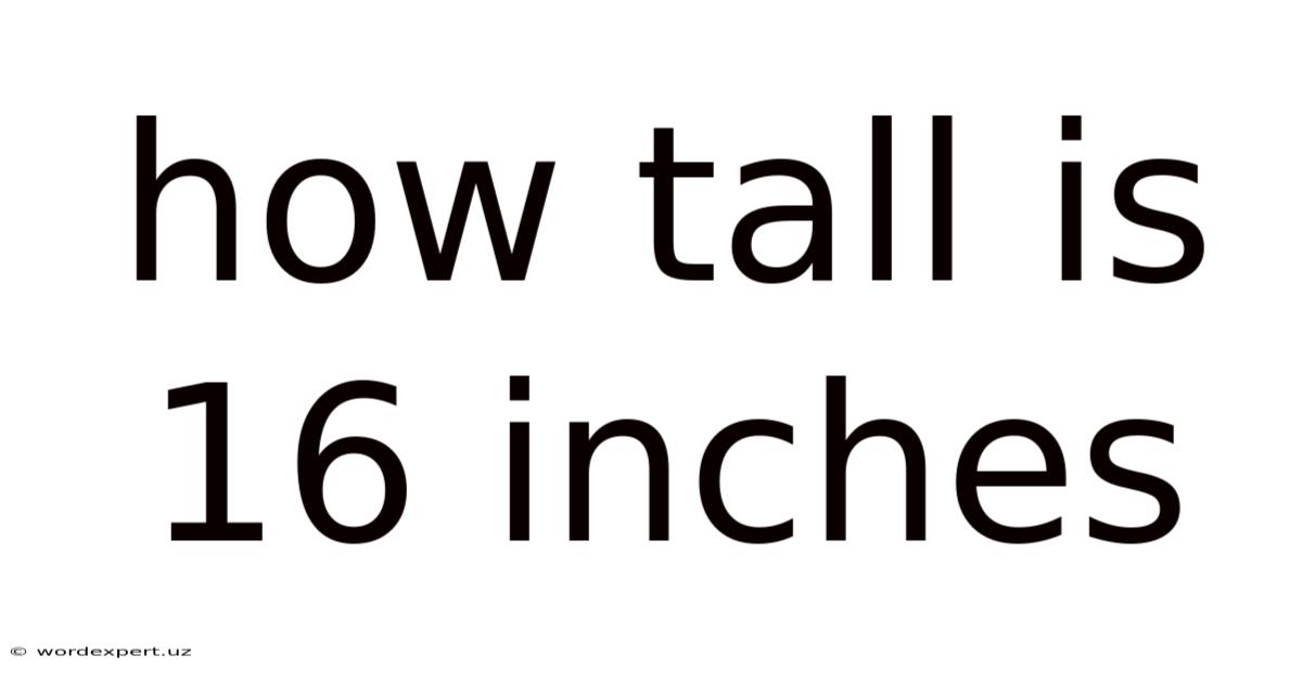 How Tall Is 16 Inches