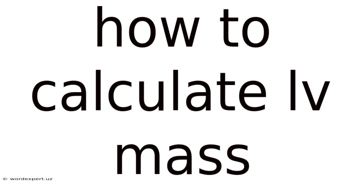 How To Calculate Lv Mass