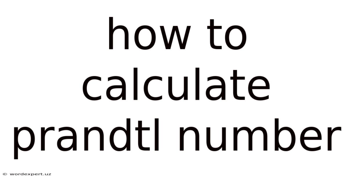 How To Calculate Prandtl Number
