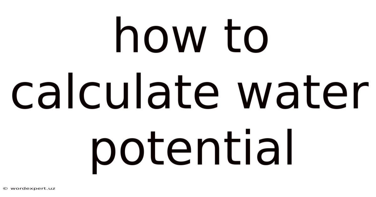 How To Calculate Water Potential