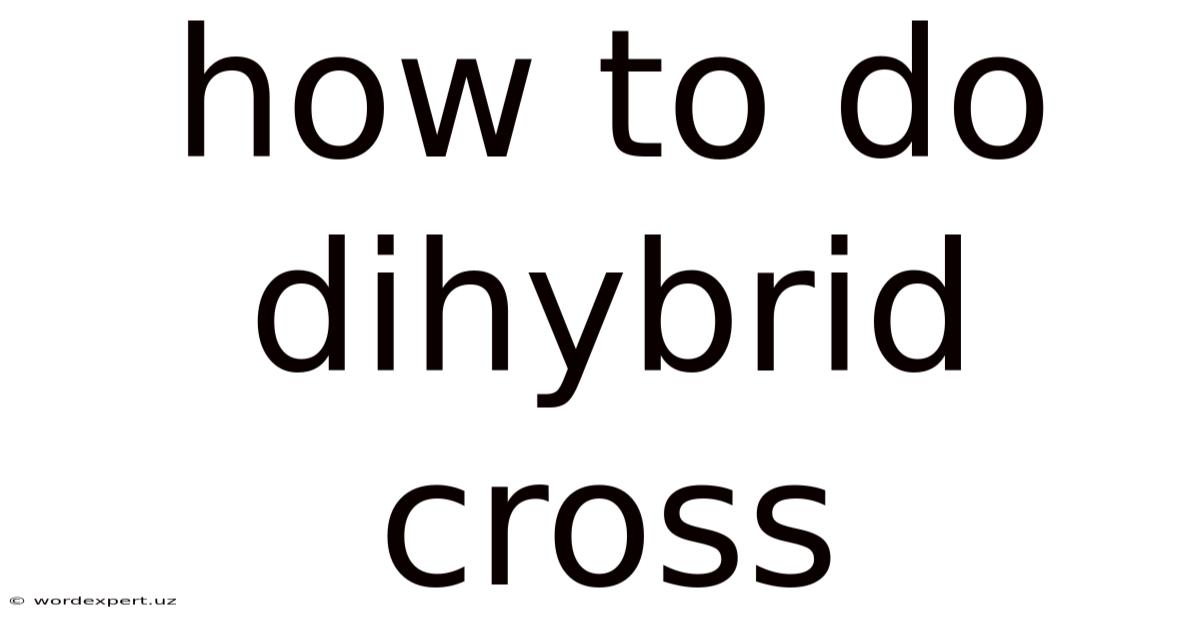 How To Do Dihybrid Cross