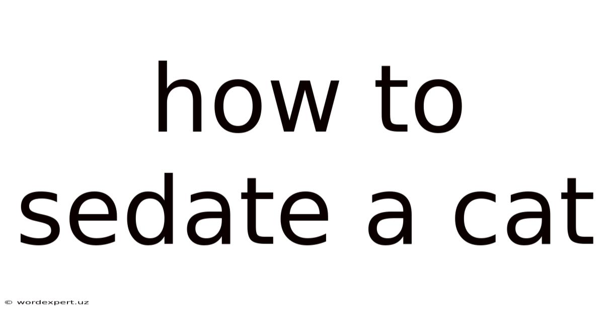 How To Sedate A Cat