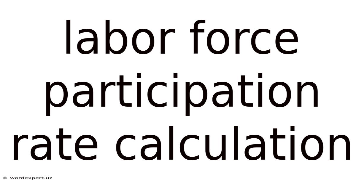 Labor Force Participation Rate Calculation