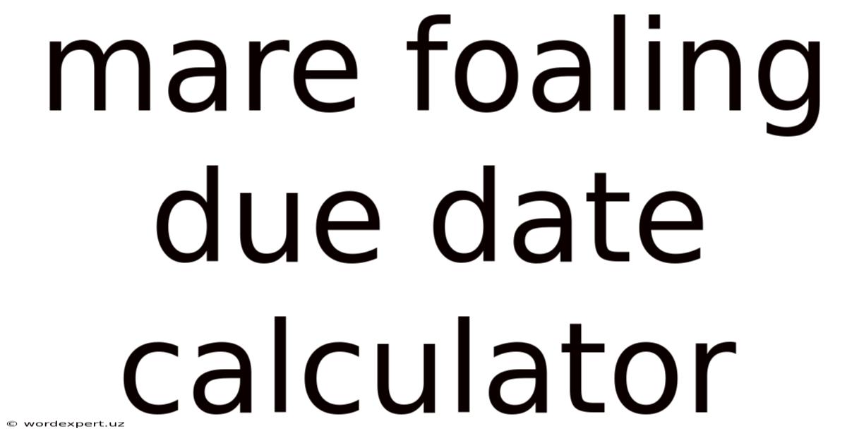 Mare Foaling Due Date Calculator