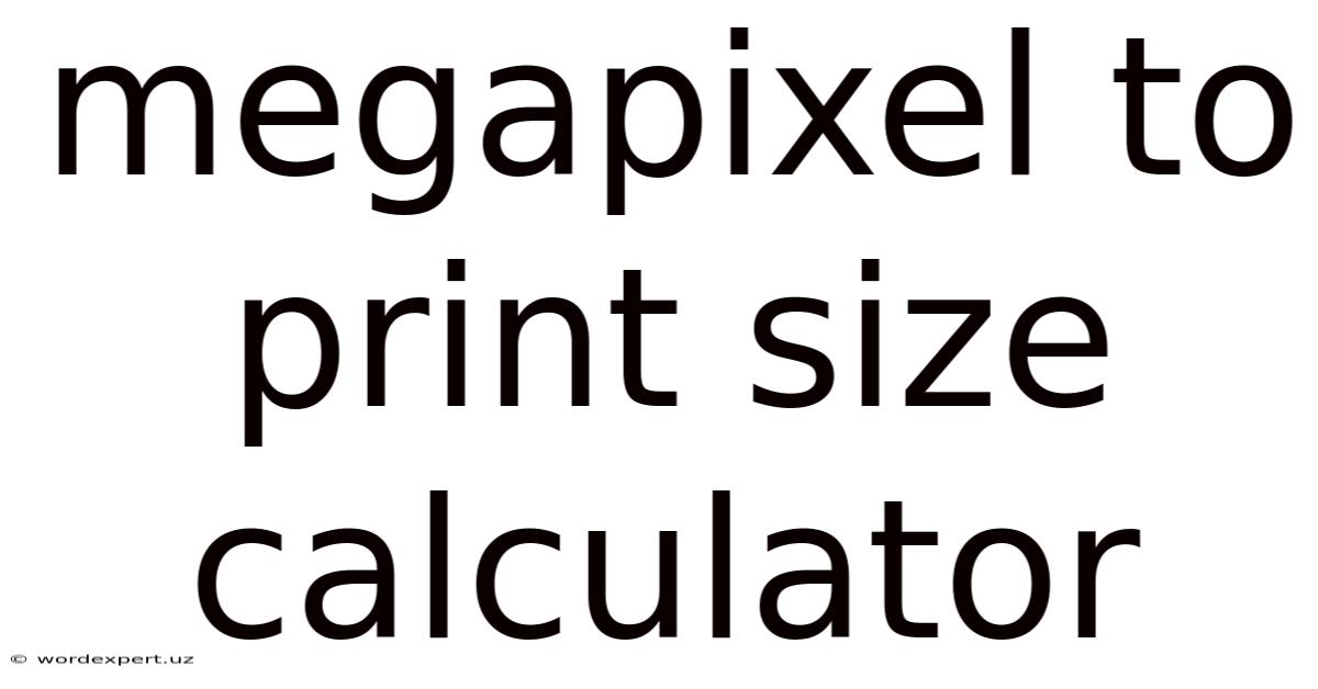 Megapixel To Print Size Calculator