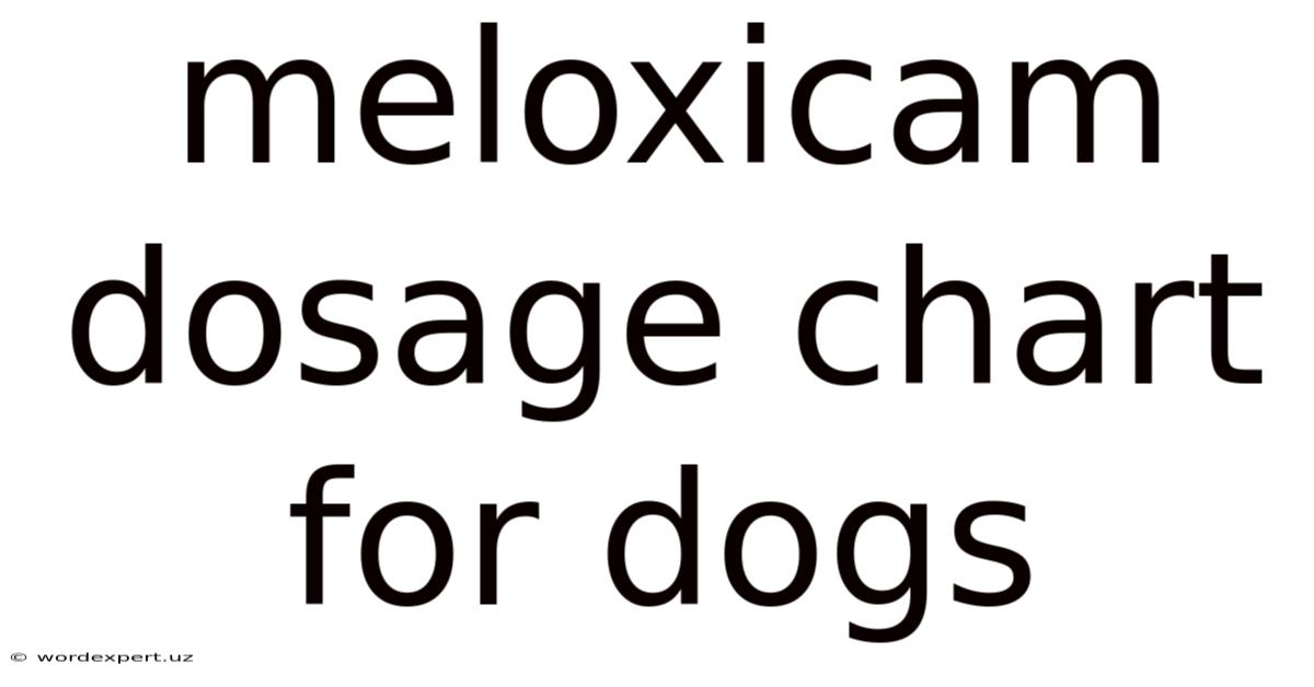 Meloxicam Dosage Chart For Dogs