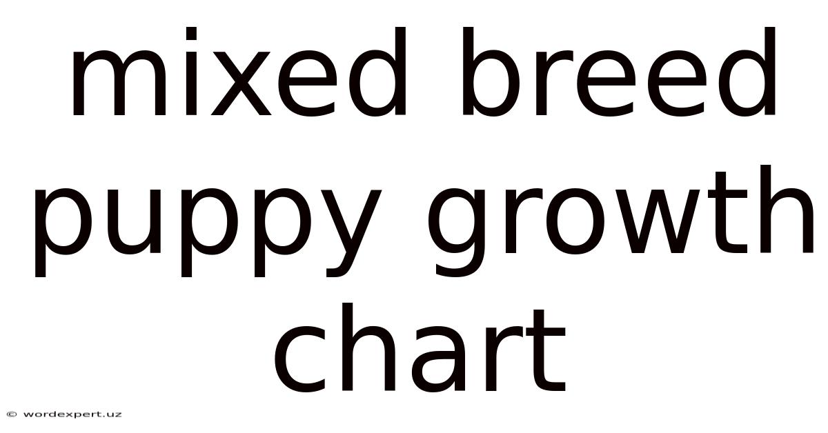 Mixed Breed Puppy Growth Chart