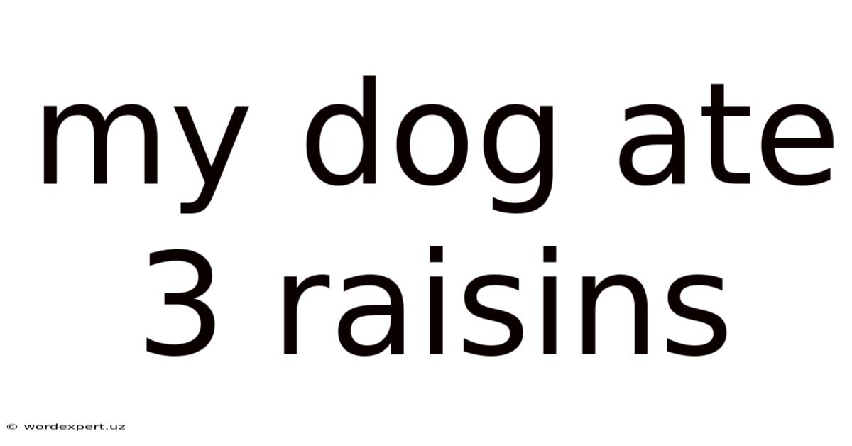 My Dog Ate 3 Raisins