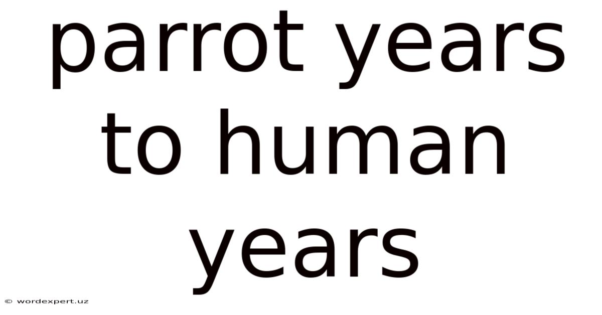 Parrot Years To Human Years