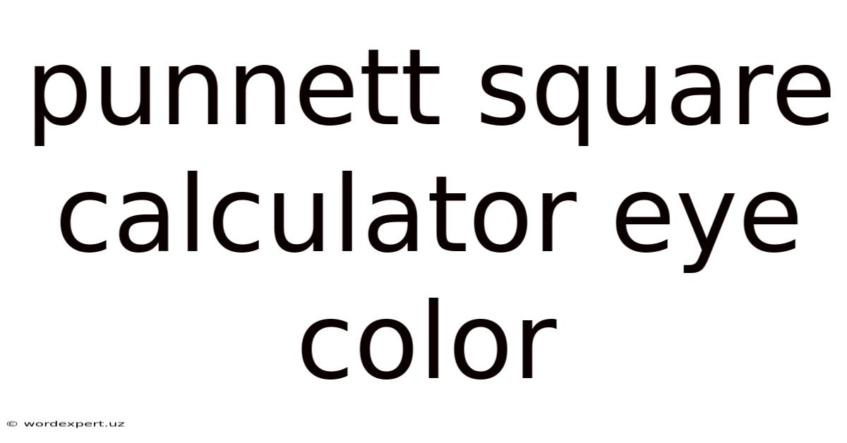Punnett Square Calculator Eye Color