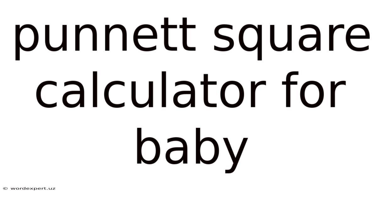 Punnett Square Calculator For Baby